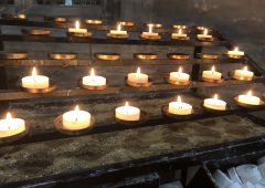 February 2019 Volunteer Newsletter featured image