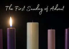 Pilgrim Progress – First Sunday of Advent featured image
